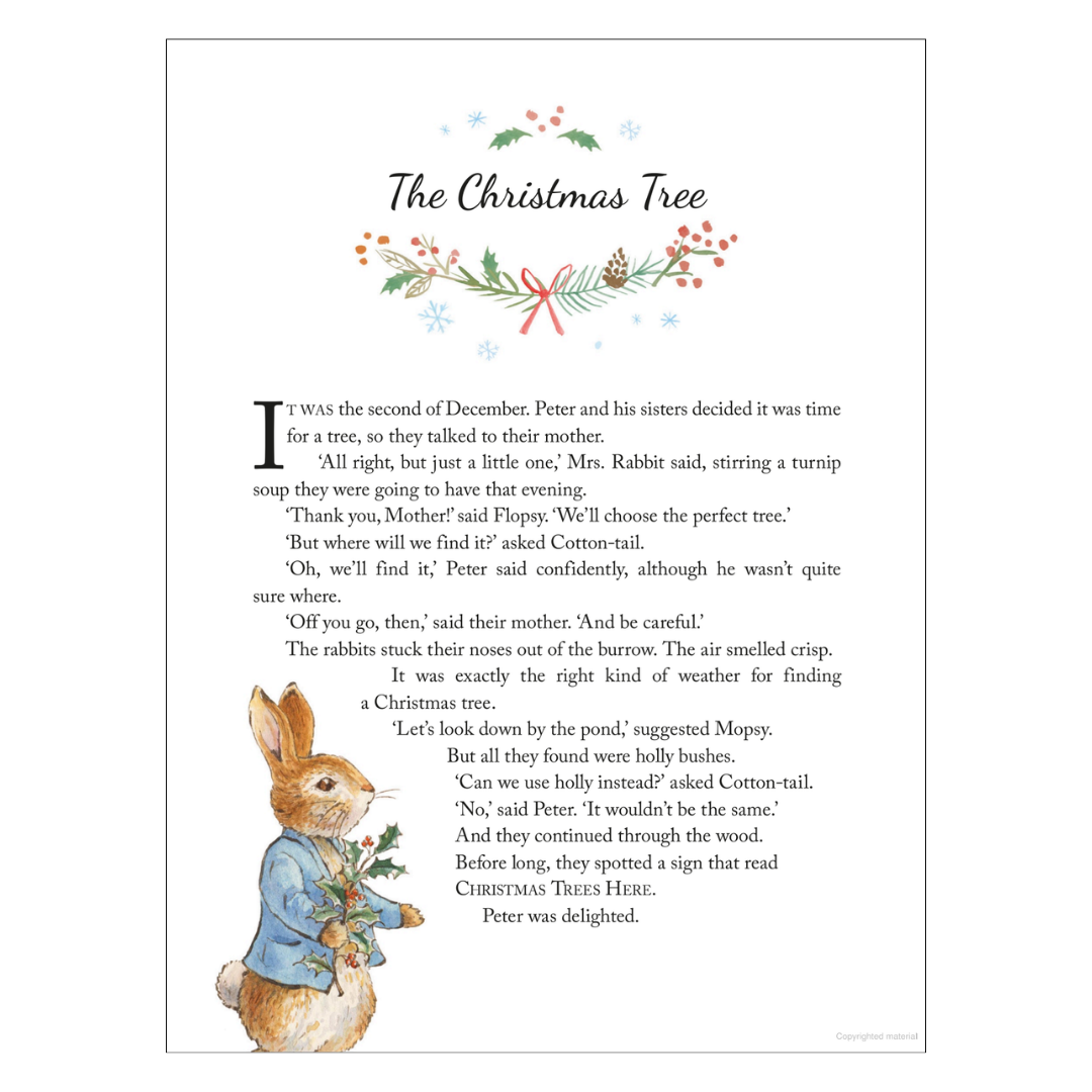 Peter Rabbit - Christmas Tales - Little Reef and Friends