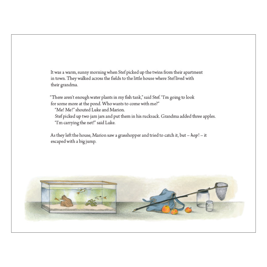 Where Do They Go When It Rains? - Little Reef and Friends