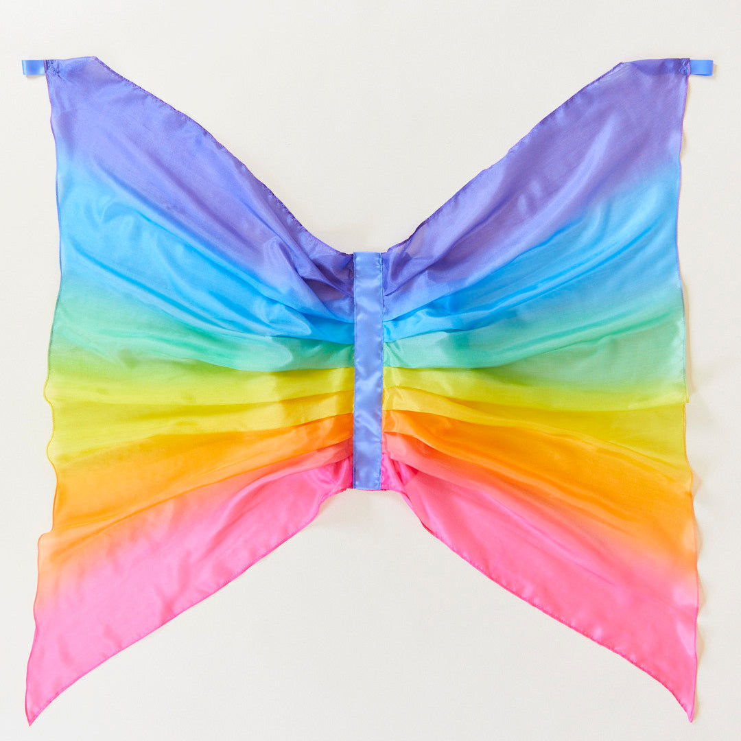 Rainbow-coloured butterfly wings on a plain background