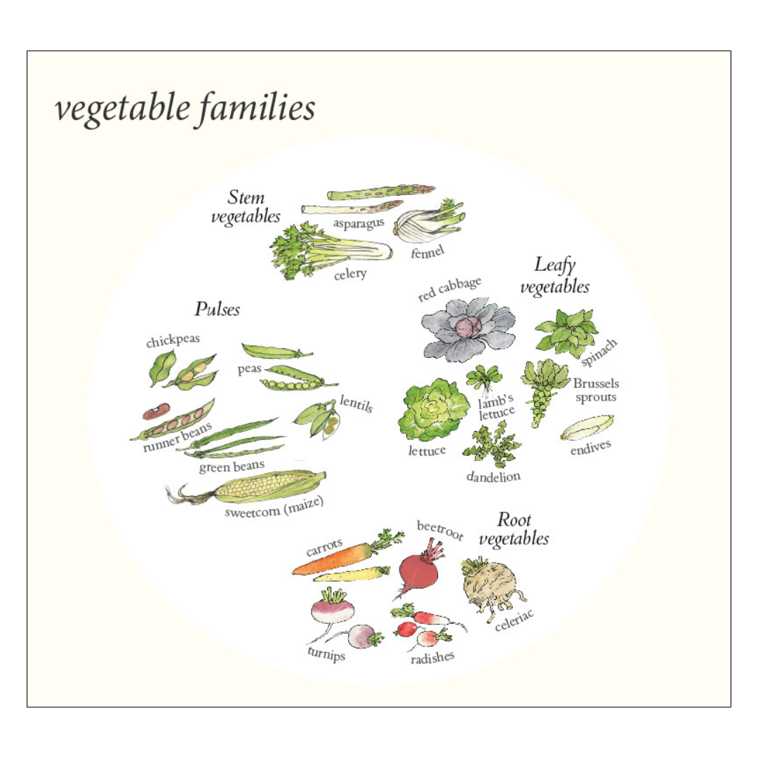 How Does My Garden Grow?