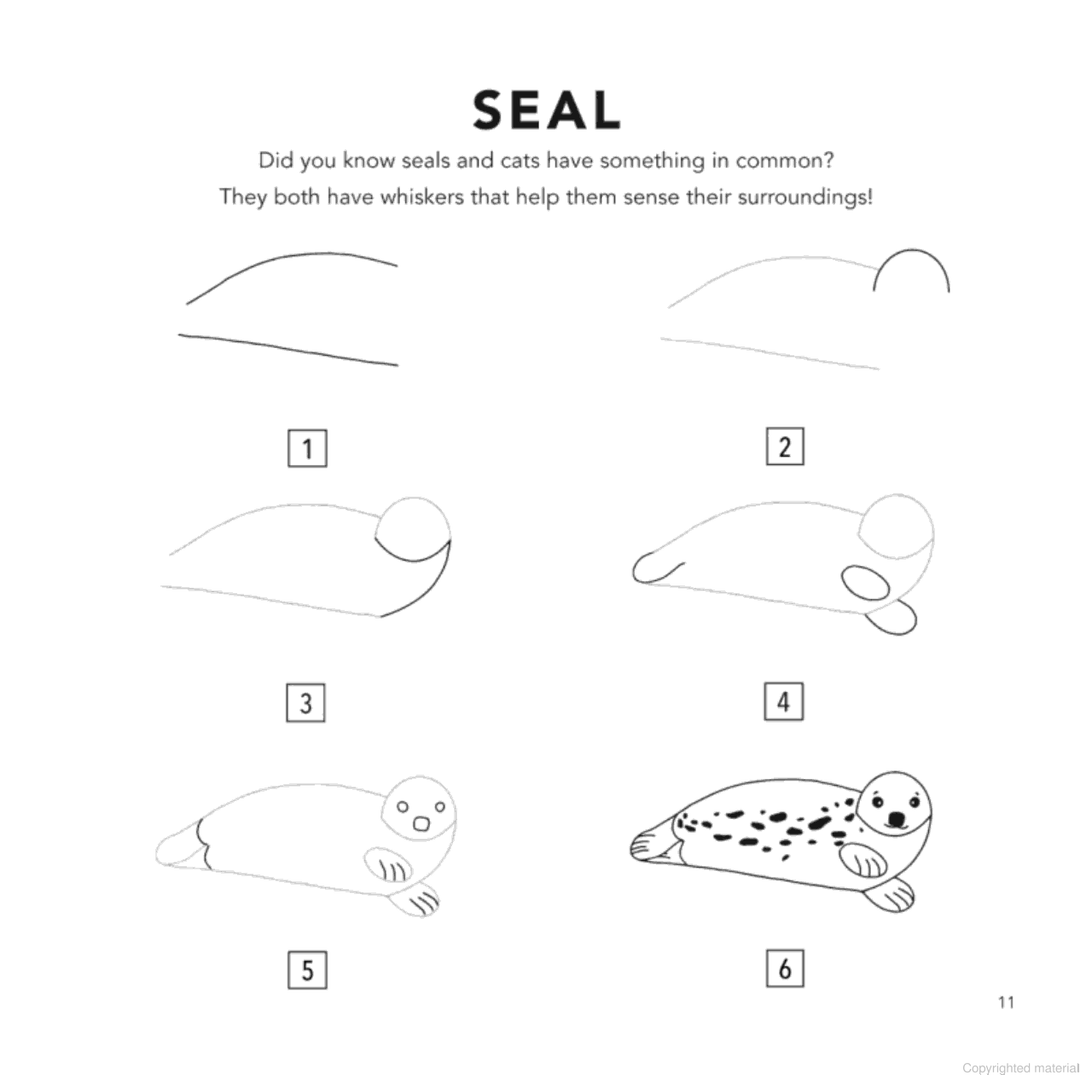 How To Draw - Under The Sea - Little Reef and Friends
