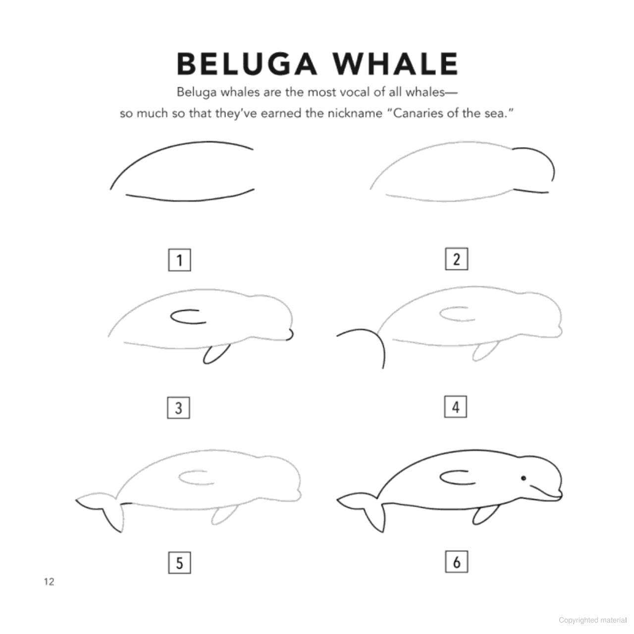 How To Draw - Under The Sea - Little Reef and Friends