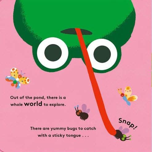 Little Life Cycles - Frog - Little Reef and Friends