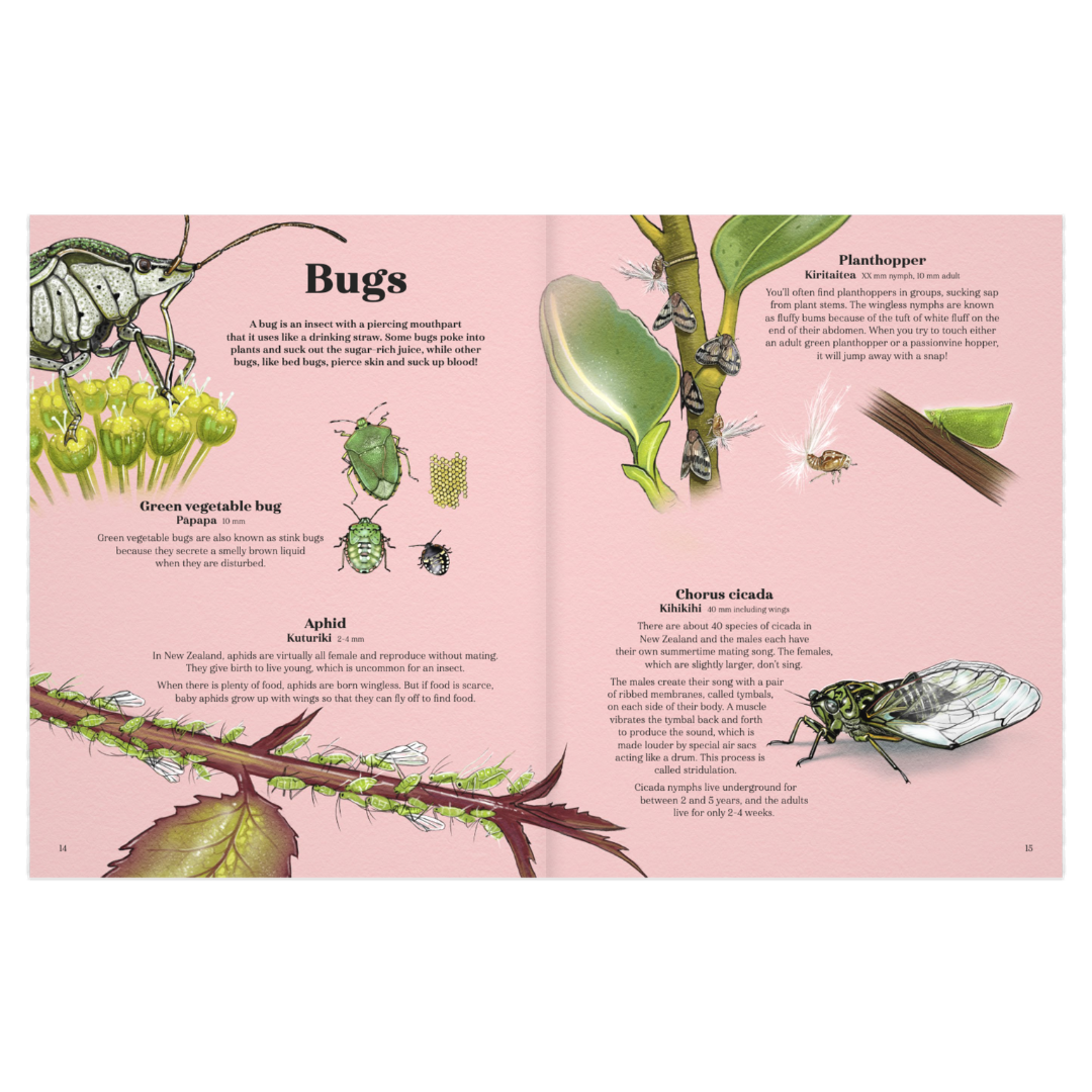 New Zealand Backyard Beasts - Little Reef and Friends