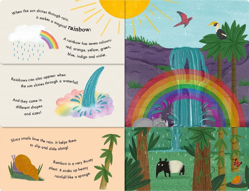 Rain and Shine: A Flip-Flap Book of Weather - Little Reef and Friends