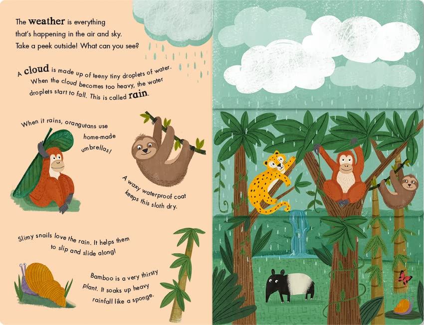 Rain and Shine: A Flip-Flap Book of Weather - Little Reef and Friends