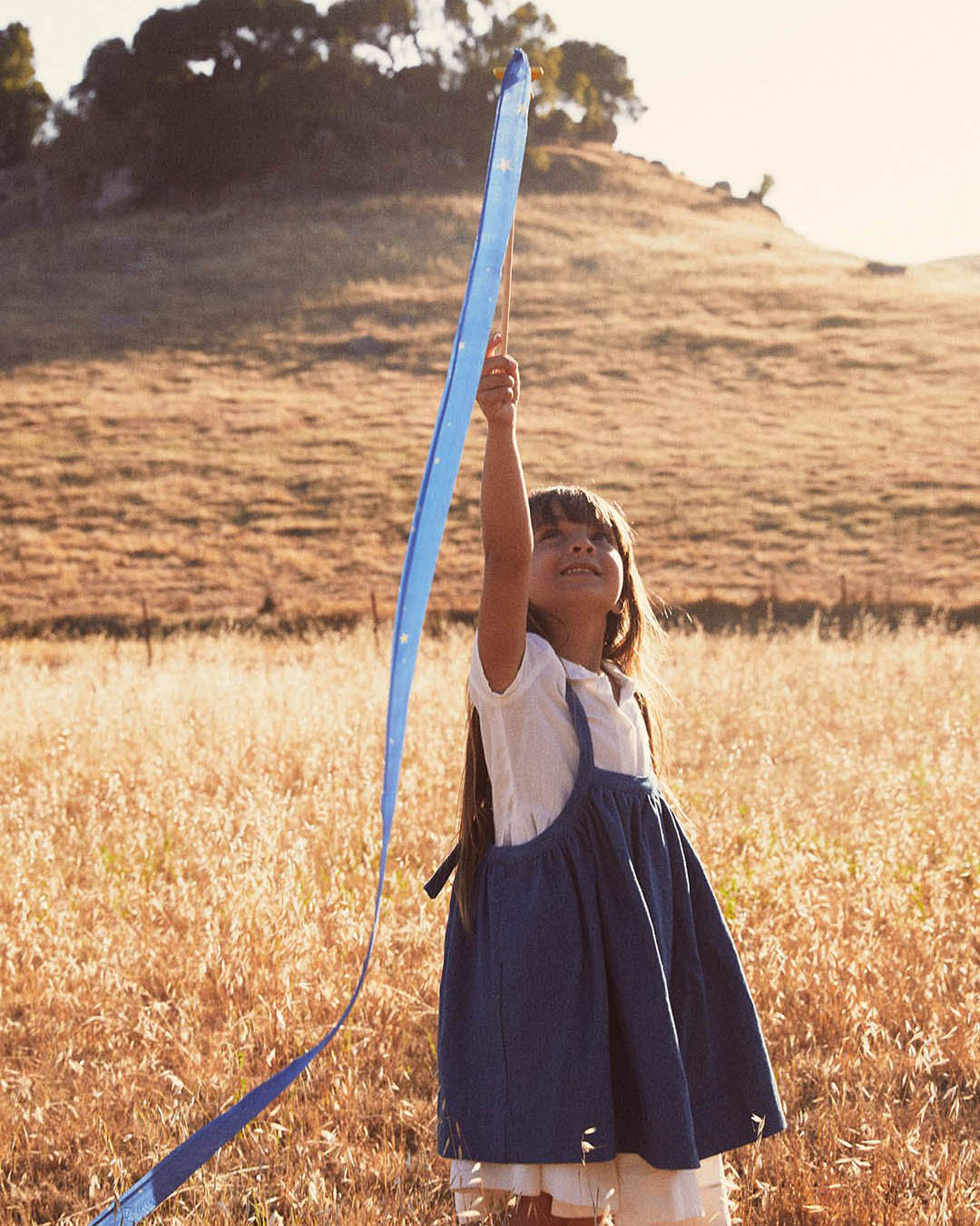 Sarah's Silks Streamer - Star