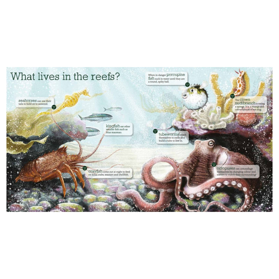 Under The Ocean - Little Reef and Friends