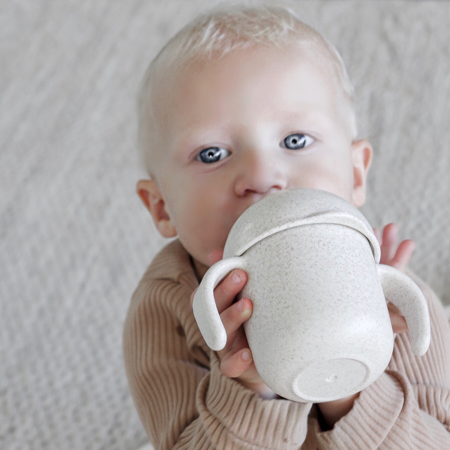 Wheat Straw Sippy Cup - Oat - Little Reef and Friends