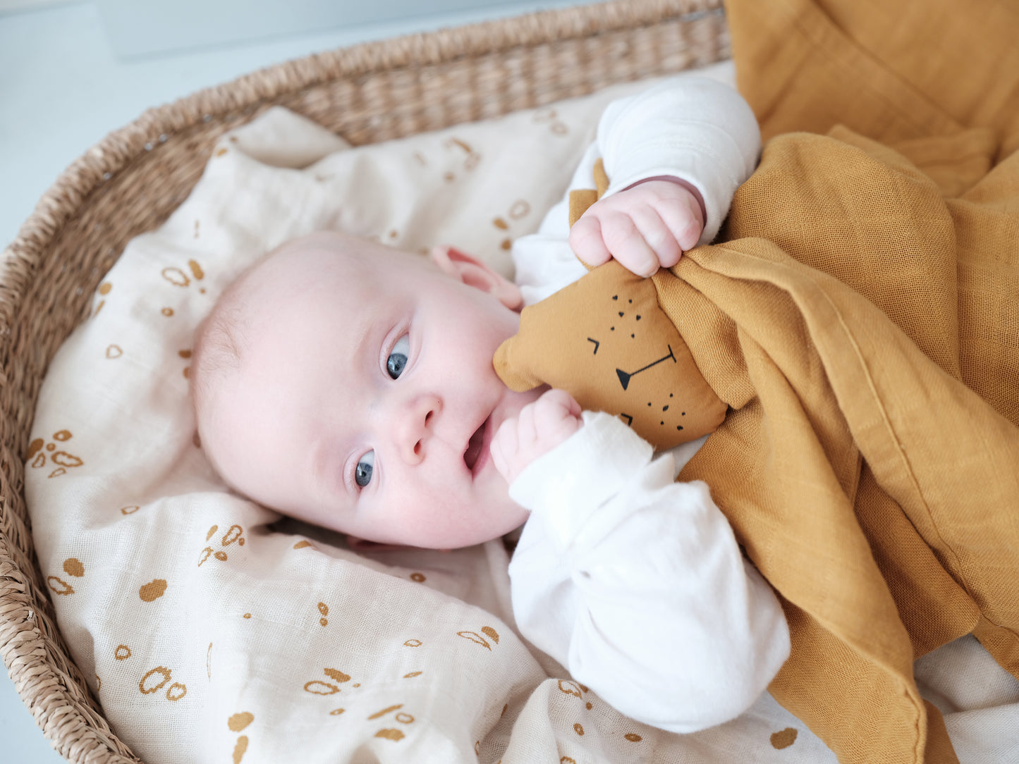 Animal Bear Cuddle Comforter - Ochre - Little Reef and Friends