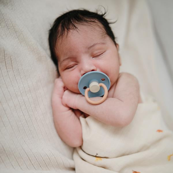 Colour Block Rubber Pacifier - Breeze - Little Reef and Friends