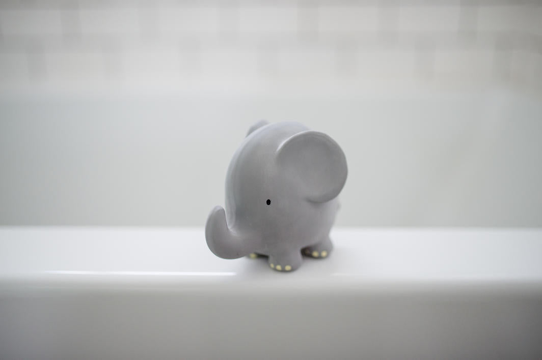 My First Safari Animals Bath Toy & Rattle - Elephant - Little Reef and Friends