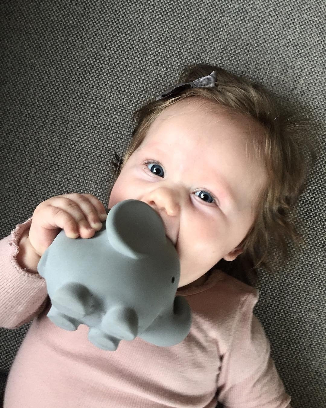 My First Safari Animals Bath Toy & Rattle - Elephant - Little Reef and Friends