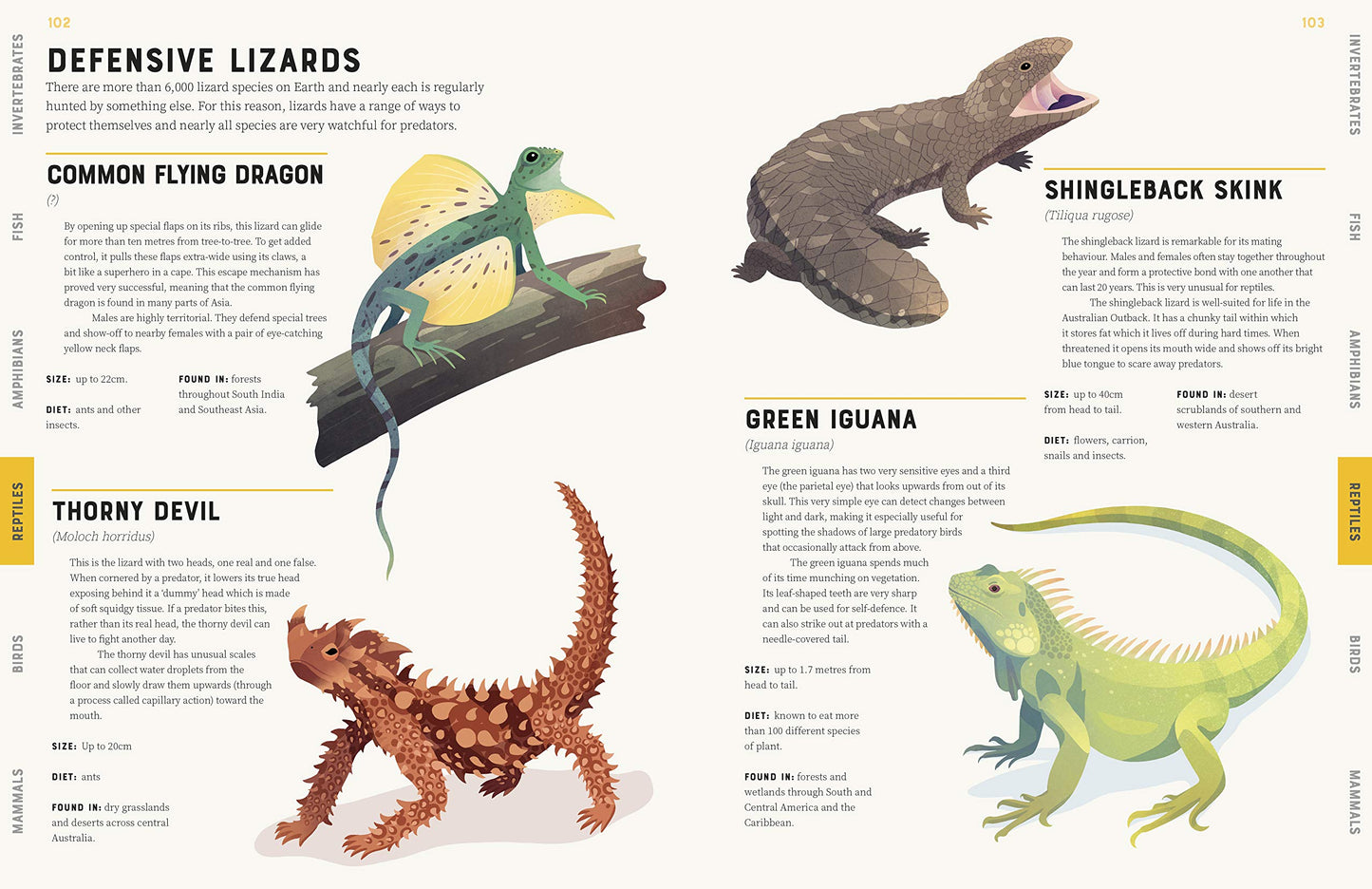 Encyclopedia of Animals - Little Reef and Friends