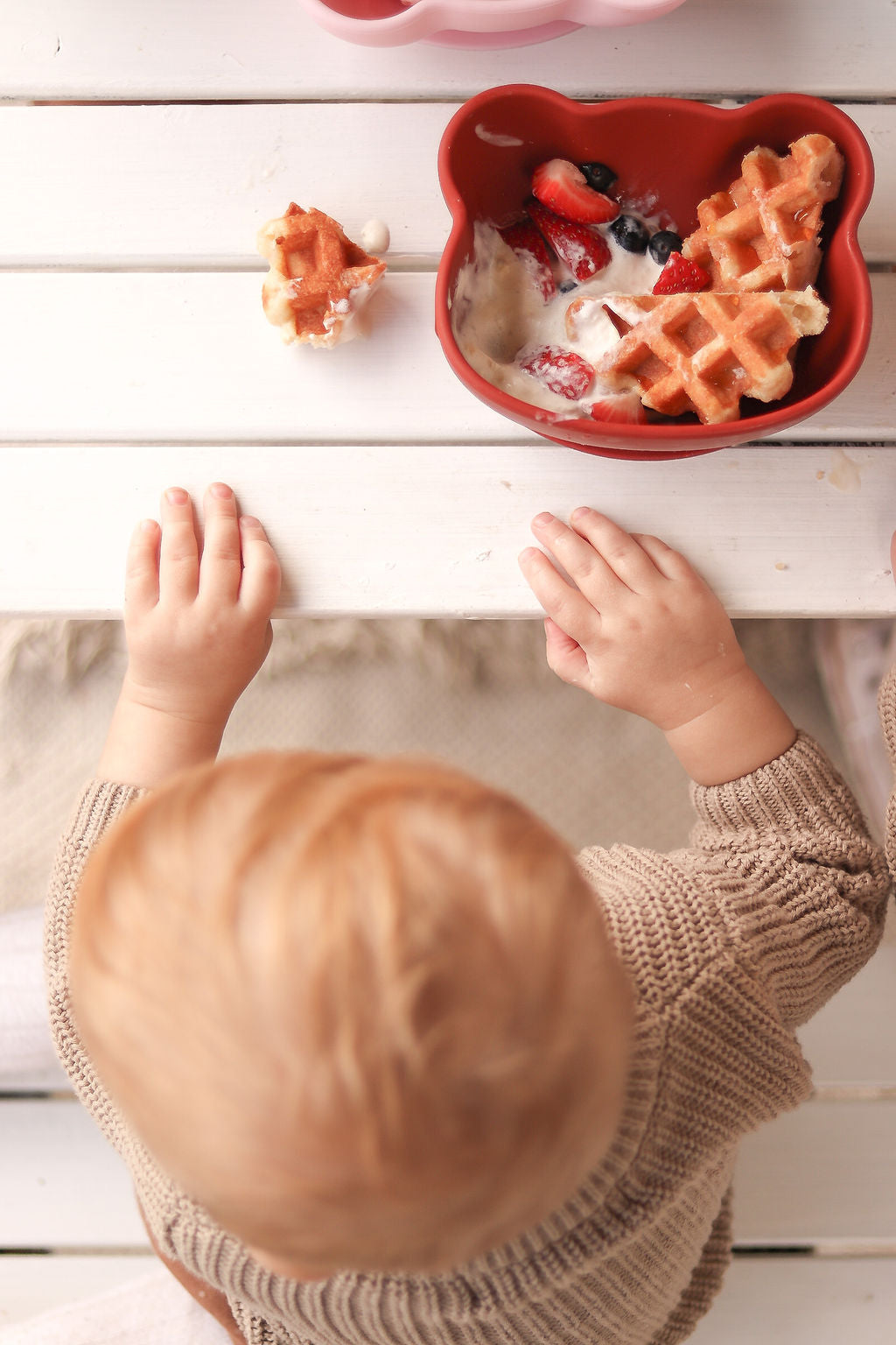 Bear Stickie Bowl with Lid - Rust - Little Reef and Friends