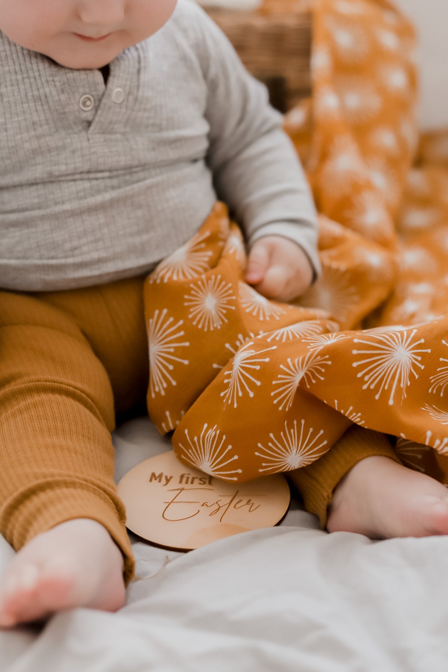 Wooden Baby's Milestone Discs - Little Reef and Friends