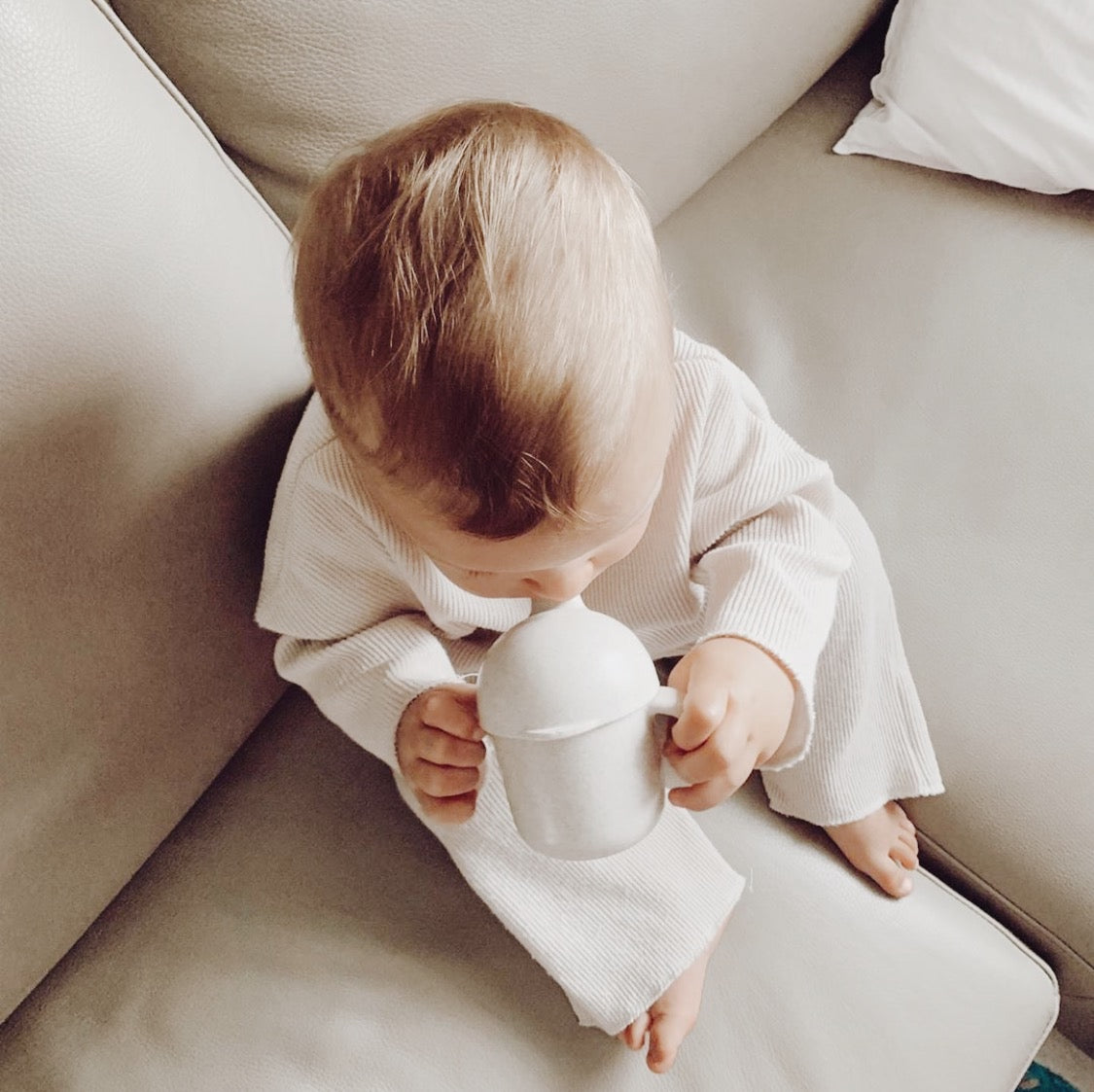Wheat Straw Sippy Cup - Oat - Little Reef and Friends