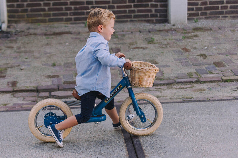 Tybike Steel 2-in-1 - Blue Vintage - Little Reef and Friends
