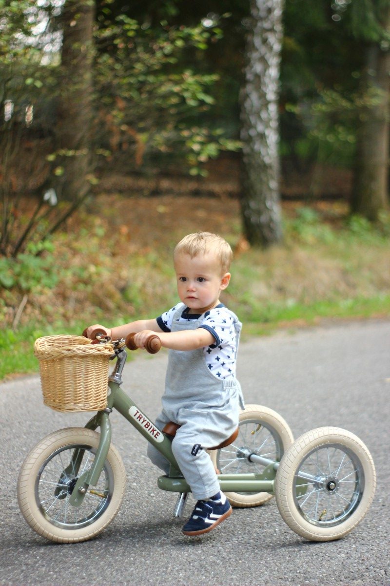 Trybike Steel 2-in-1 - Green Vintage - Little Reef and Friends