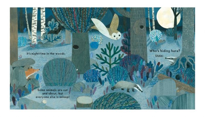 Who's Hiding in the Woods? - Little Reef and Friends