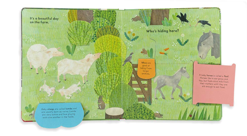 Who's Hiding on the Farm? - Little Reef and Friends