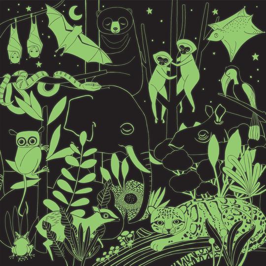 Jungle Illuminated Glow in the Dark Puzzle 500pc - Little Reef and Friends