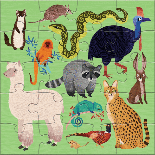 Land & Sea Magnetic Puzzle Double-Sided 20pc - Little Reef and Friends