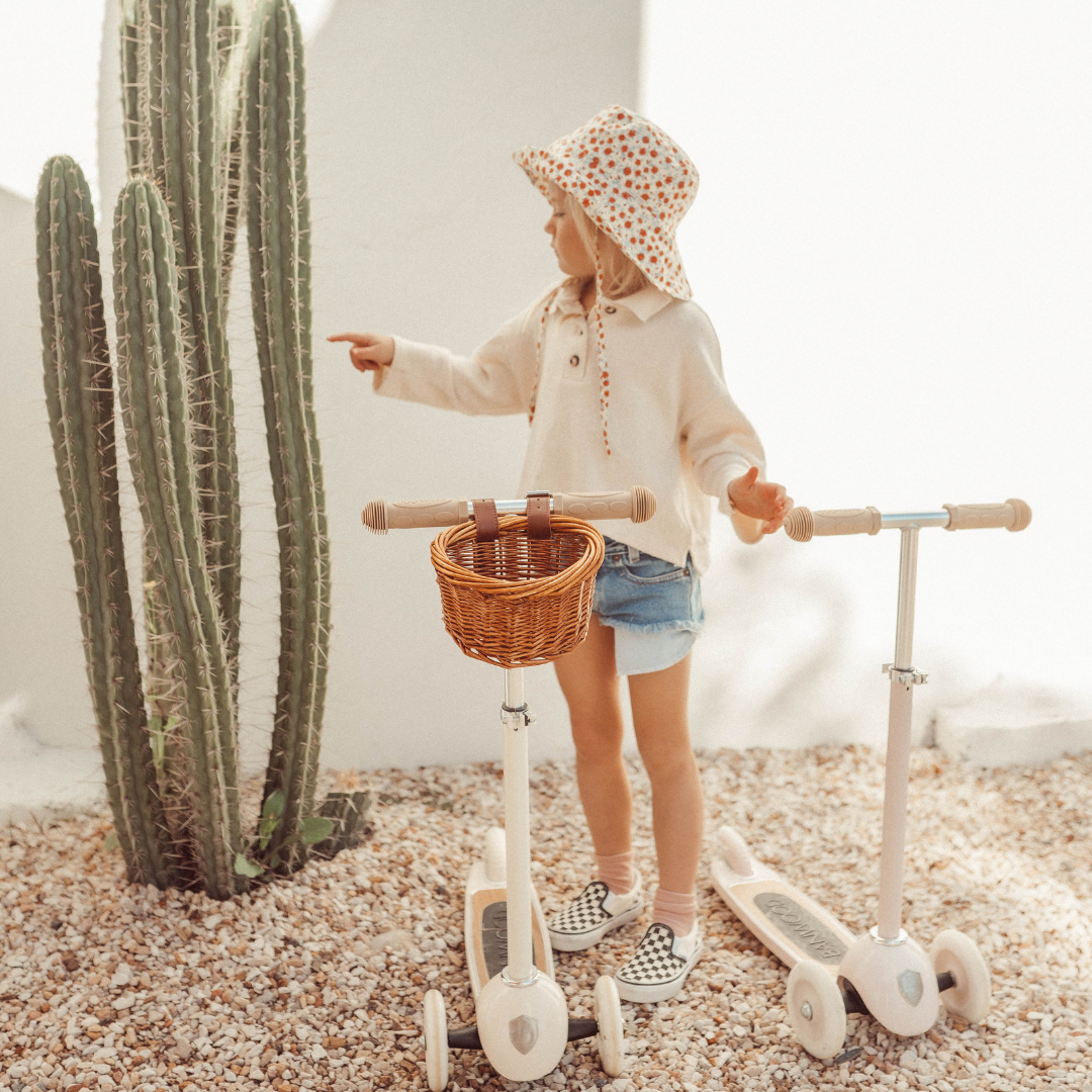 Banwood Scooter - Pink - Little Reef and Friends