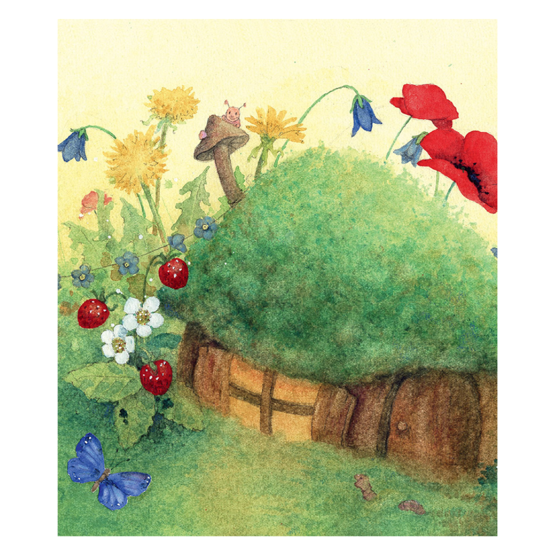 Pippa and Pelle and the Birthday Gifts - Little Reef and Friends