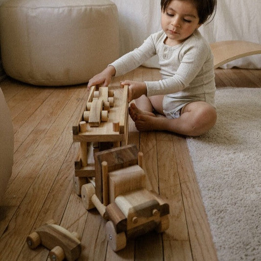 Q Toys Car Transporter Truck - Little Reef and Friends