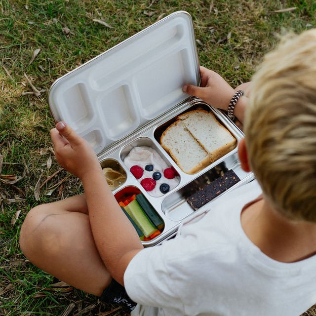 Person sitting on grass with a lunch box containing a sandwich, fruits, and vegetables.