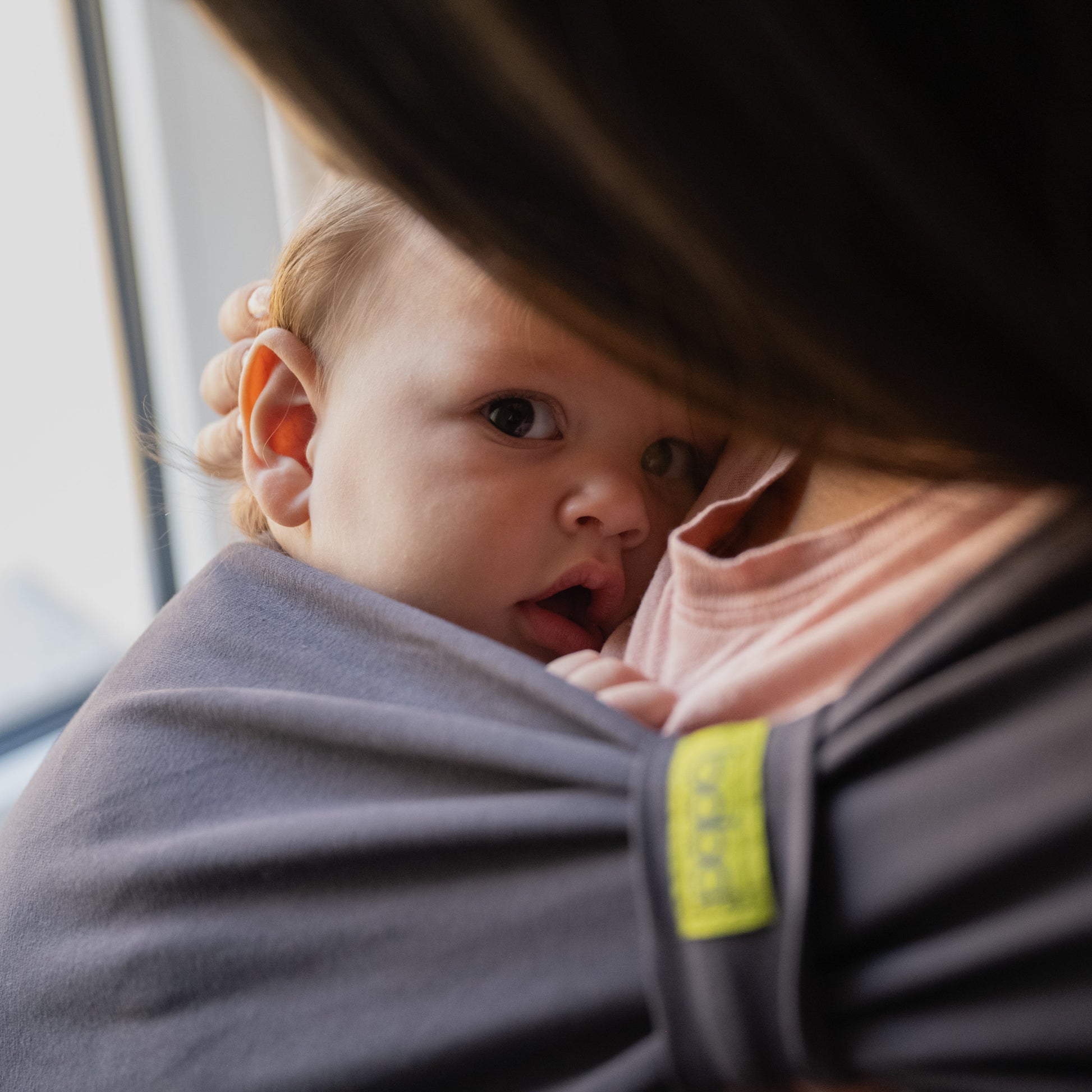 Baby in a Boba Bliss Carrier