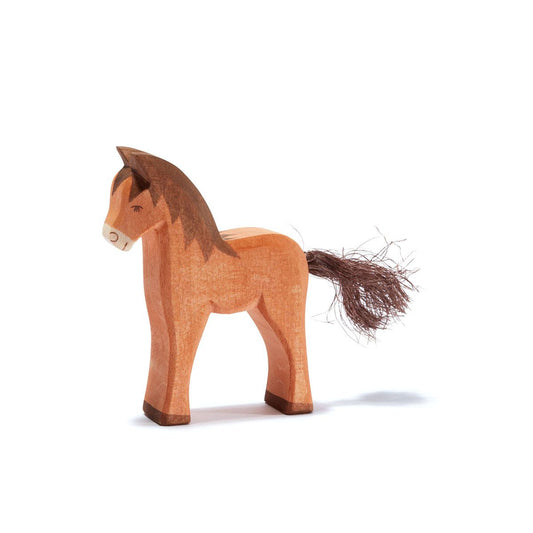 Ostheimer Farm | Colt Brown