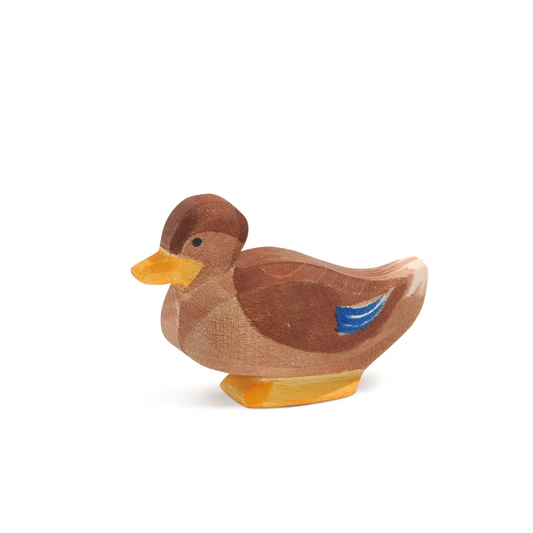 Ostheimer Farm | Duck - Sitting