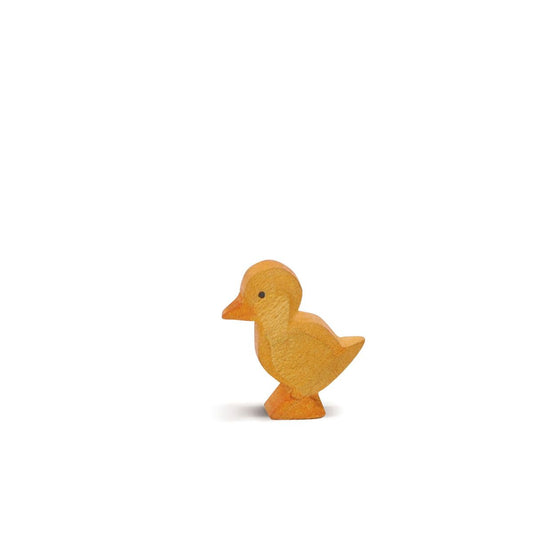 Ostheimer Farm | Duckling