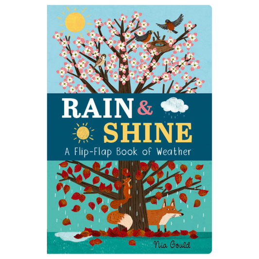 Rain and Shine: A Flip-Flap Book of Weather - Little Reef and Friends