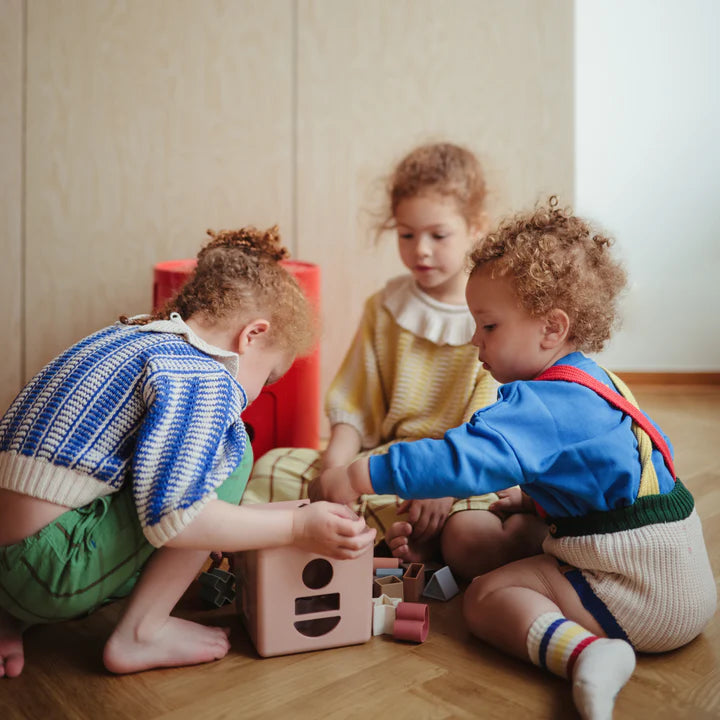 Mushie Shape Sorting Box - Petal