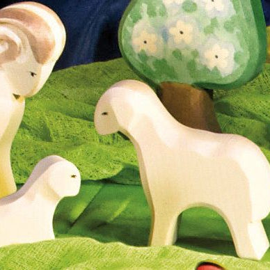 Ostheimer Farm | Lamb - Standing