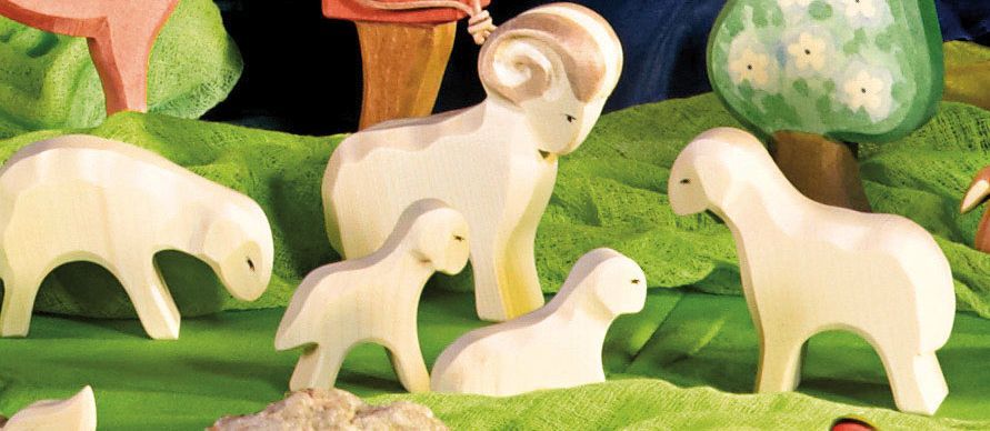 Ostheimer Farm | Sheep - Standing