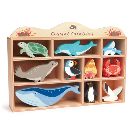 Tender Leaf Toys Coastal Creatures and Display Shelf