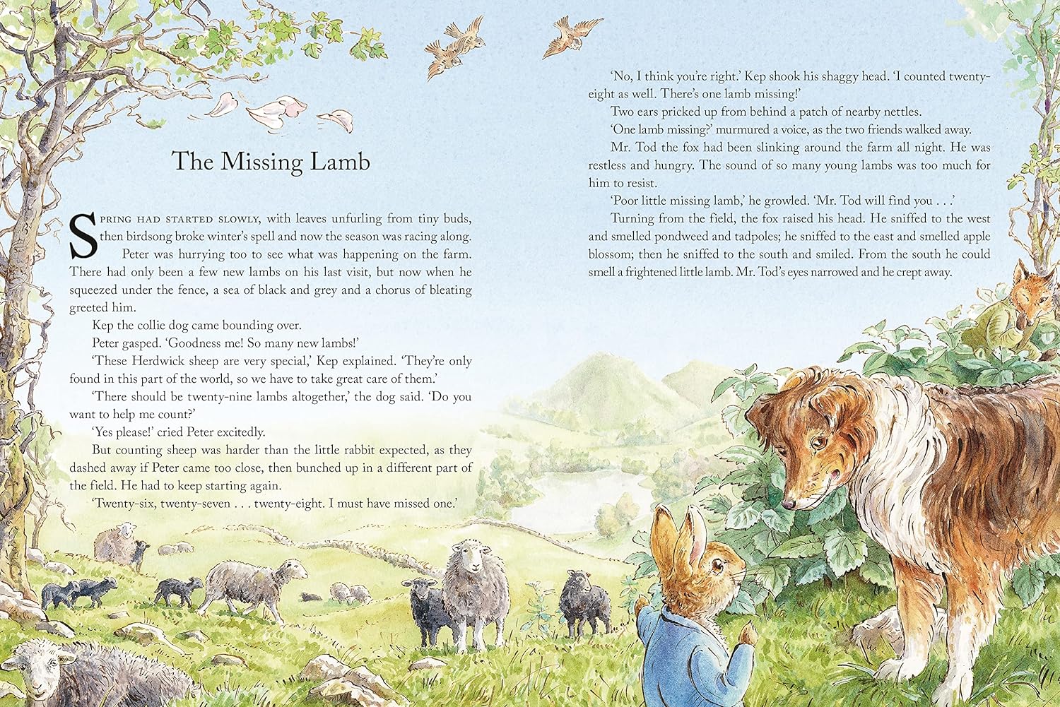 Peter Rabbit - Tales from the Countryside – Little Reef and Friends