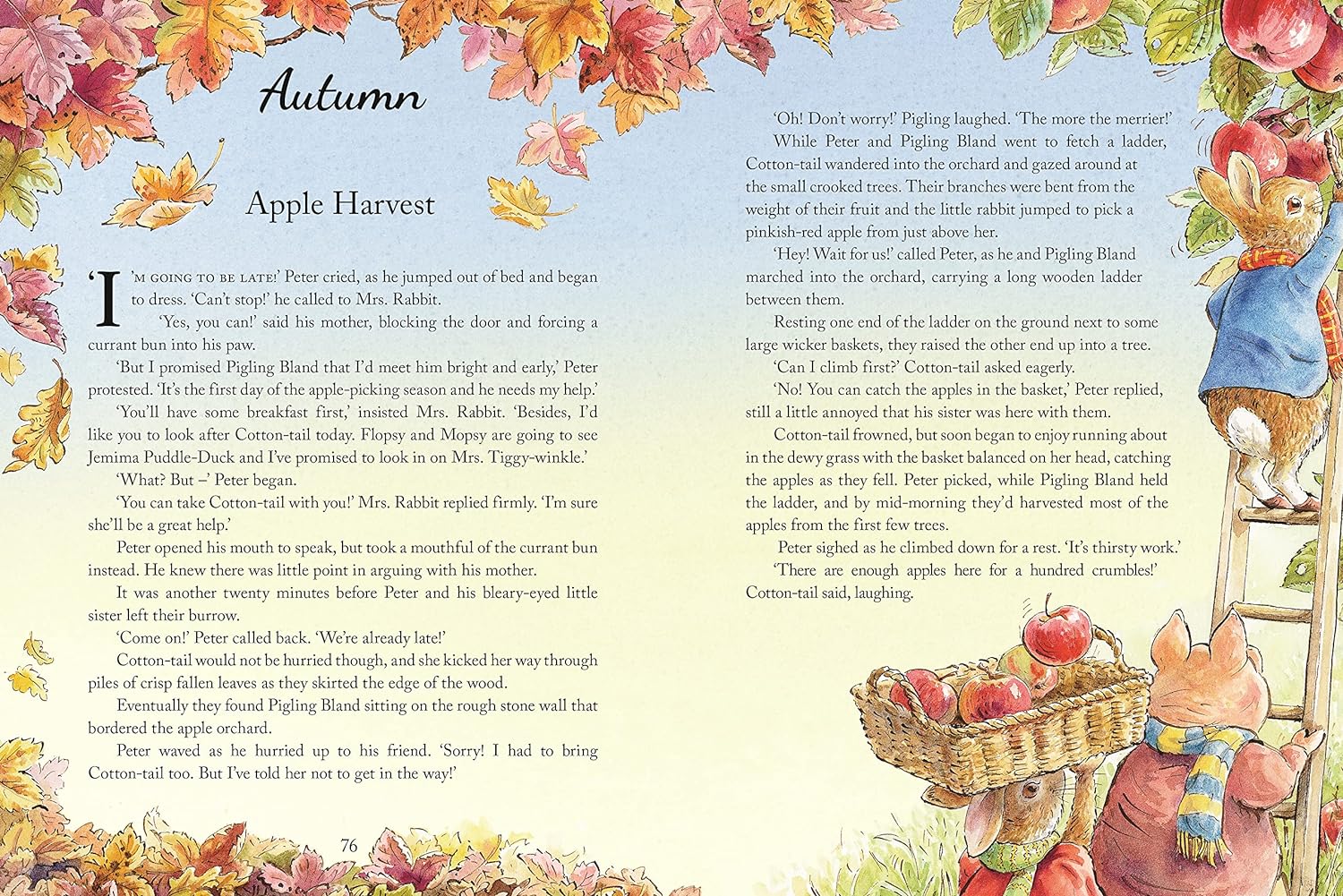 Peter Rabbit - Tales from the Countryside – Little Reef and Friends