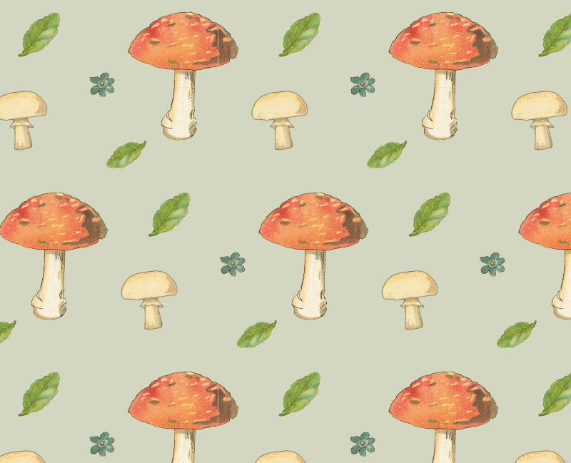 Tales of the Mushroom Folk - Little Reef and Friends