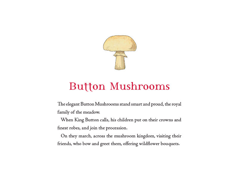Tales of the Mushroom Folk - Little Reef and Friends