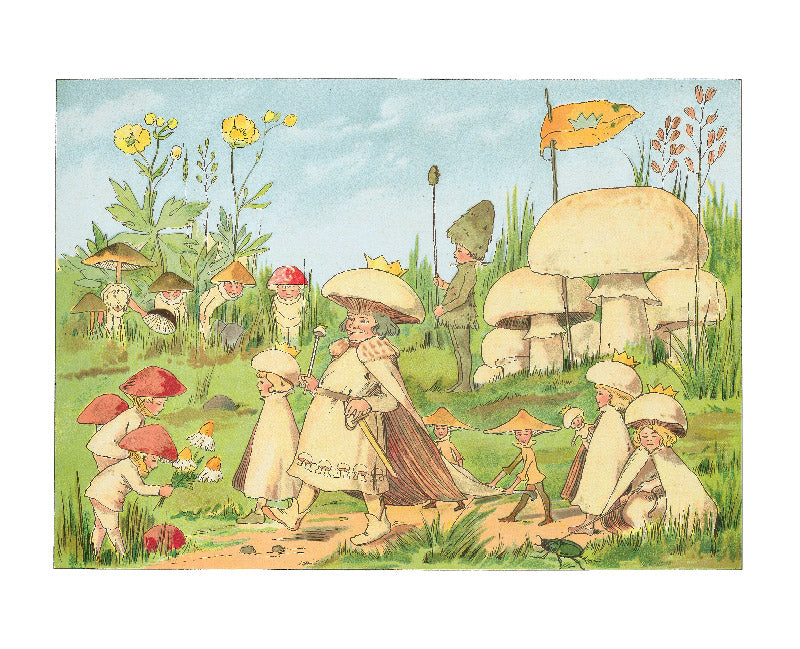 Tales of the Mushroom Folk - Little Reef and Friends