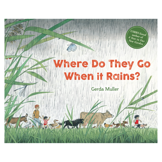Where Do They Go When It Rains? - Little Reef and Friends