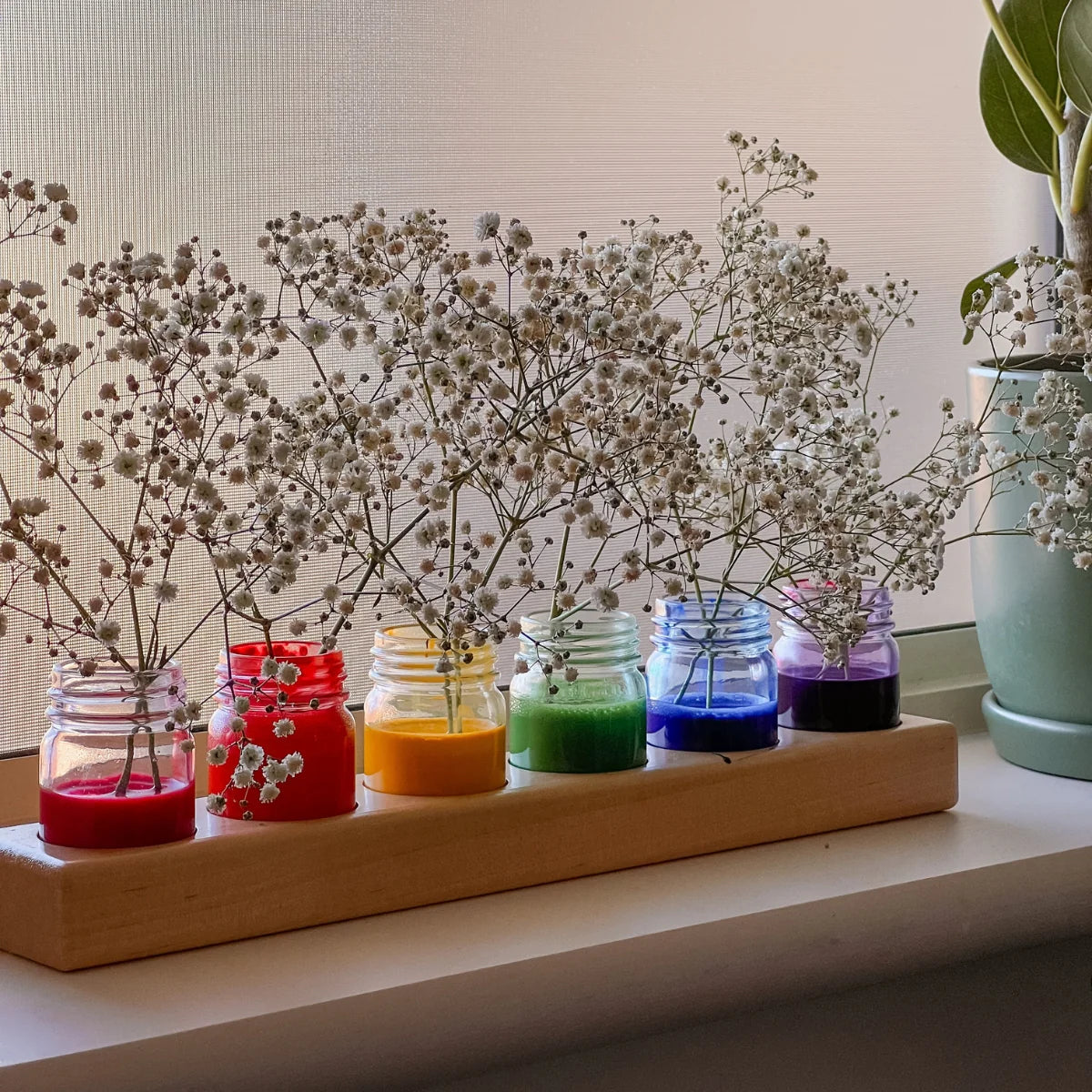 Mercurius Paint Jars and Wooden Holder - 100ml