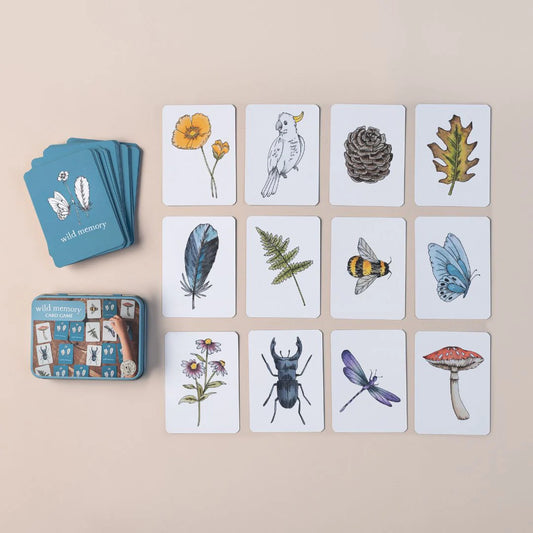 Wild Memory Card Game - Little Reef and Friends