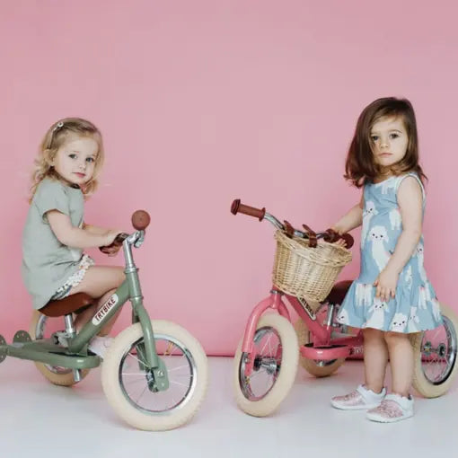 Trybike Woven Bike Basket Little Reef and Friends