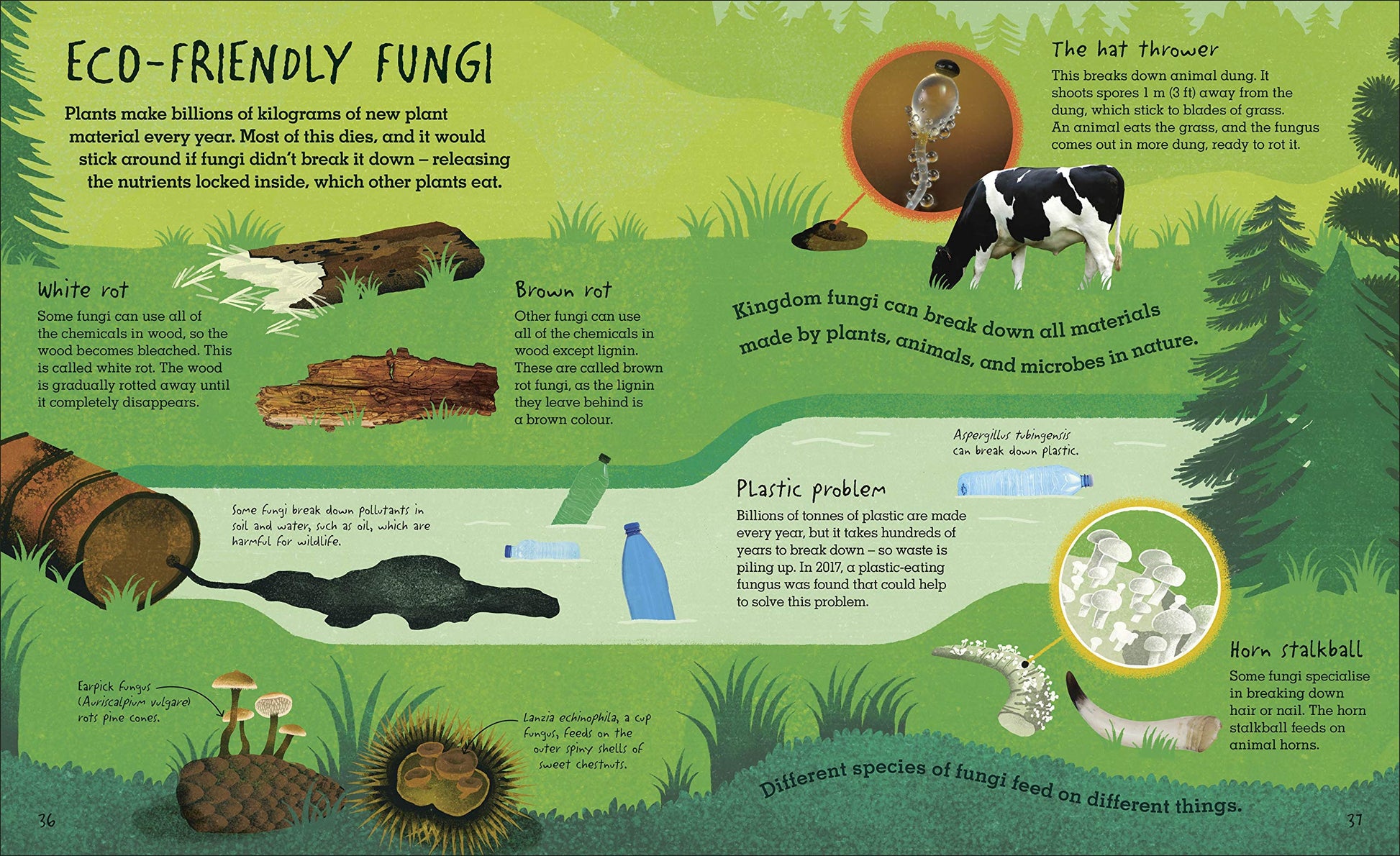 Humongous Fungus - Little Reef and Friends